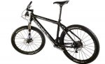 storck rebelion.jpg