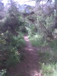 Imagen0015.jpg