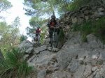 DSCN7357.jpg