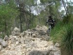 DSCN7376.jpg