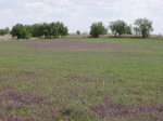 P5094645 - copia.jpg