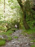 DSCN4455.jpg