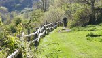 DSCN4610.jpg