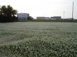DSC03715.JPG
