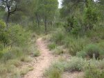 DSC03730.JPG