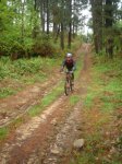DSC06564.jpg