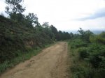 IMG_3735.jpg