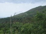 IMG_3736.jpg