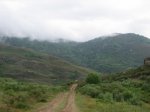 IMG_3743.jpg