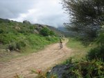 IMG_3747.jpg