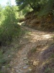CIMG1221_345x461.JPG
