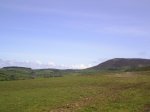 S4010011.jpg