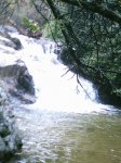 DSC_1380.jpg