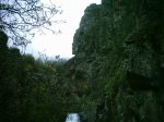 DSC_1390.jpg