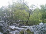 DSC_1392.jpg