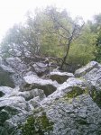 DSC_1393.jpg