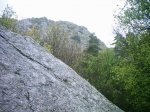 DSC_1394.jpg