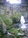 DSC_1396.jpg