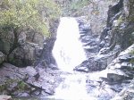 DSC_1397.jpg