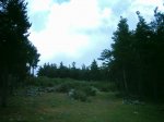 DSC_1406.jpg