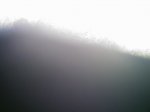 DSC_1407.jpg