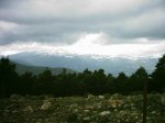DSC_1410.jpg