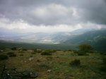 DSC_1416.jpg
