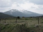 IMG_1001.jpg