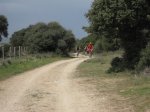 IMG_1002.jpg
