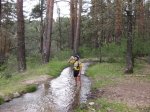 IMG_1006.jpg