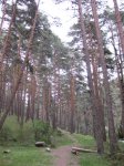 IMG_1008.jpg