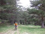 IMG_1032.jpg