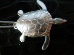 tortuga2.jpg