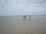 DSCN0547.jpg
