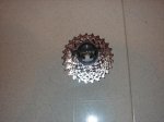DSC02164.jpg