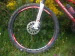 Foto8.JPG
