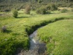 Foto11.JPG