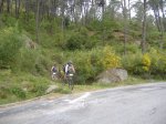DSCF0422.jpg