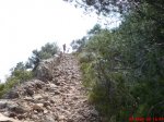 DSC01486.JPG