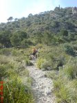 DSC01485.JPG