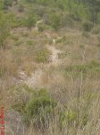 DSC01006.JPG