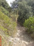 DSC01012.JPG