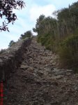 DSC01017.JPG