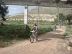 DSC00990.jpg