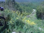 10052009542.jpg