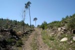 DSC03213.jpg