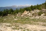 DSC03216.jpg