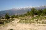 DSC03217.jpg