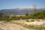 DSC03218.jpg