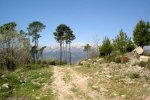 DSC03219.jpg